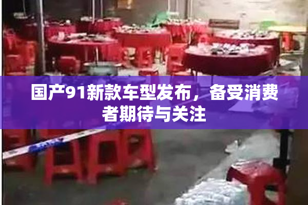 国产91新款车型发布，备受消费者期待与关注
