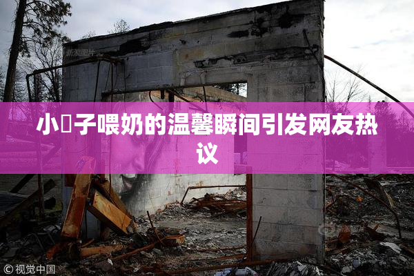 小峓子喂奶的温馨瞬间引发网友热议