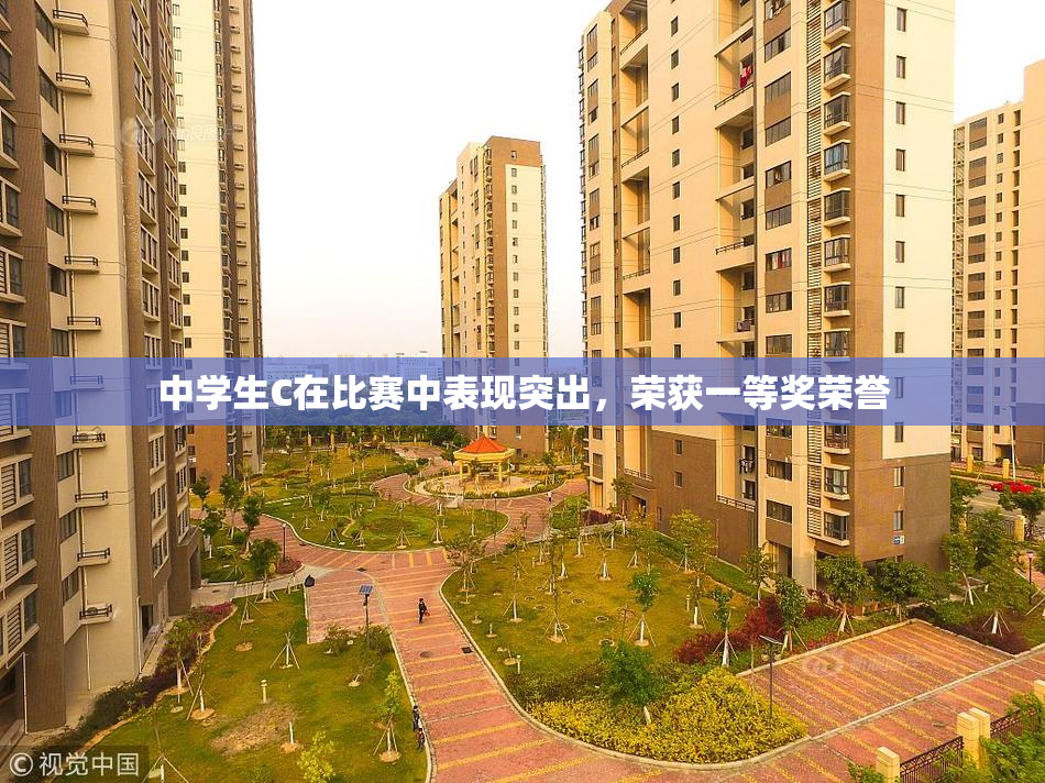 中学生C在比赛中表现突出，荣获一等奖荣誉