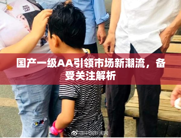 国产一级AA引领市场新潮流，备受关注解析
