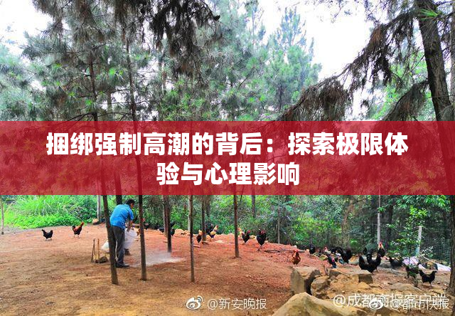 捆绑强制高潮的背后：探索极限体验与心理影响