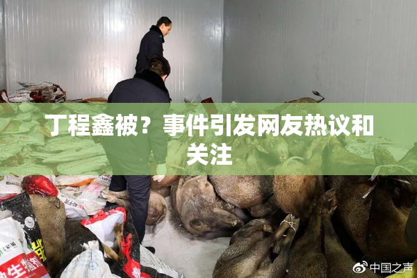 丁程鑫被？事件引发网友热议和关注