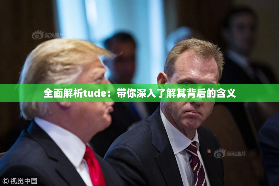 全面解析tude：带你深入了解其背后的含义