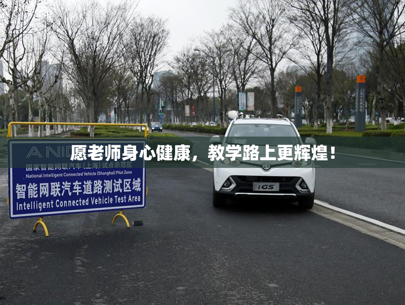 愿老师身心健康，教学路上更辉煌！