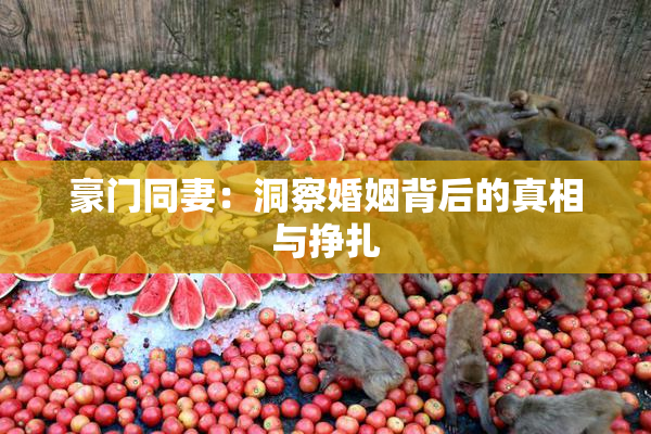 豪门同妻：洞察婚姻背后的真相与挣扎