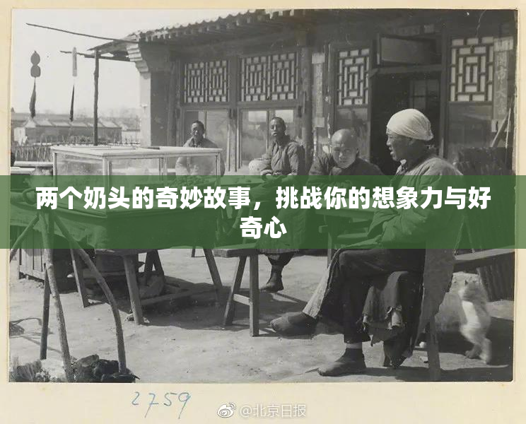 两个奶头的奇妙故事，挑战你的想象力与好奇心