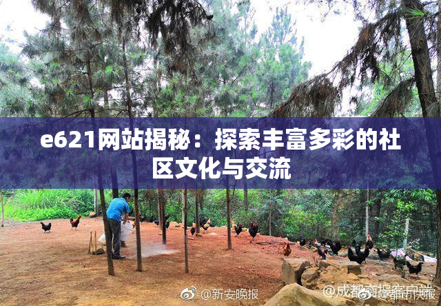 e621网站揭秘：探索丰富多彩的社区文化与交流