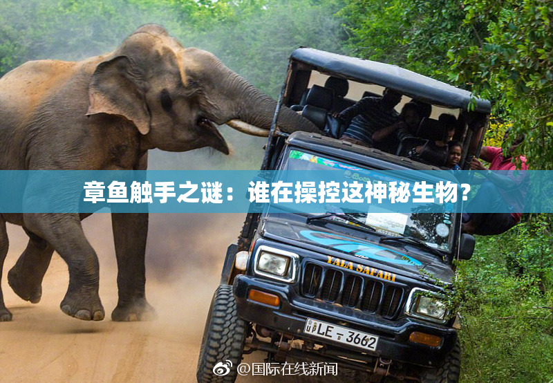 章鱼触手之谜：谁在操控这神秘生物？