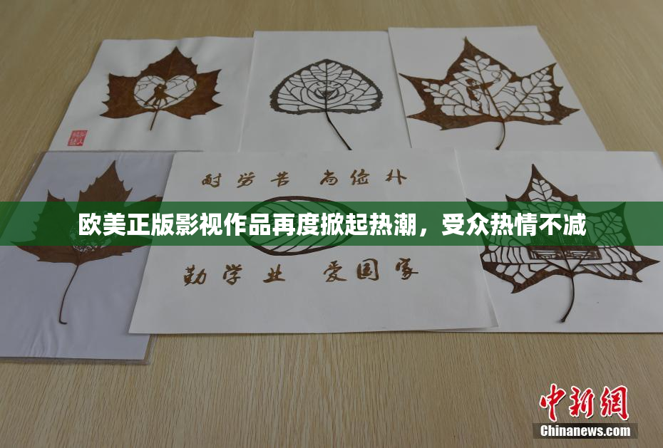 欧美正版影视作品再度掀起热潮，受众热情不减