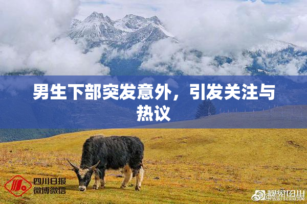 男生下部突发意外，引发关注与热议