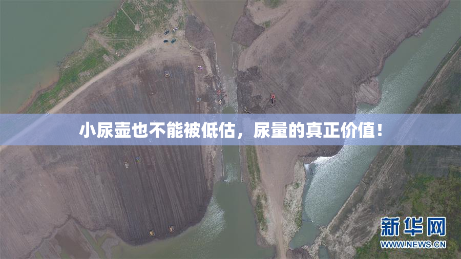 小尿壶也不能被低估，尿量的真正价值！