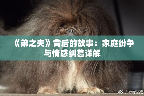 《弟之夫》背后的故事：家庭纷争与情感纠葛详解