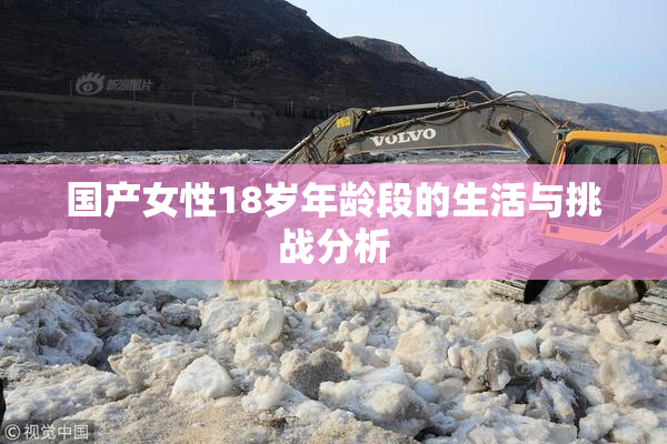 国产女性18岁年龄段的生活与挑战分析