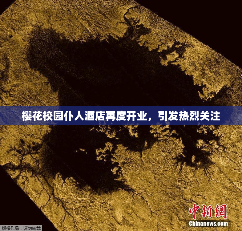 樱花校园仆人酒店再度开业，引发热烈关注