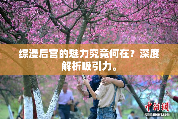 综漫后宫的魅力究竟何在？深度解析吸引力。