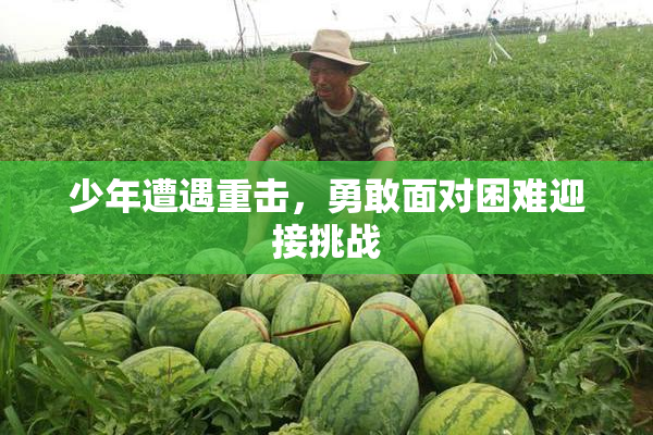 少年遭遇重击，勇敢面对困难迎接挑战