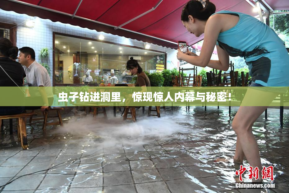 虫子钻进洞里，惊现惊人内幕与秘密！