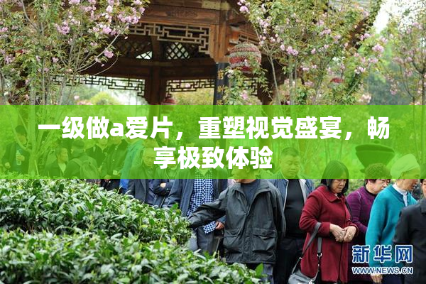 一级做a爱片，重塑视觉盛宴，畅享极致体验
