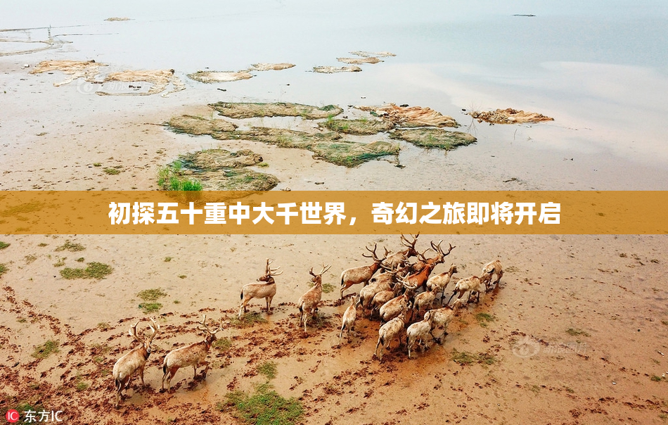 初探五十重中大千世界，奇幻之旅即将开启