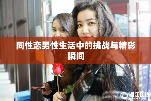 同性恋男性生活中的挑战与精彩瞬间