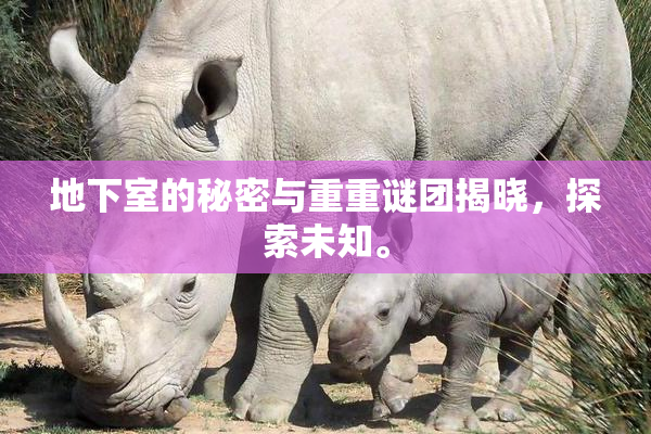 地下室的秘密与重重谜团揭晓，探索未知。