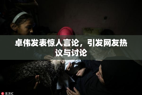 卓伟发表惊人言论，引发网友热议与讨论