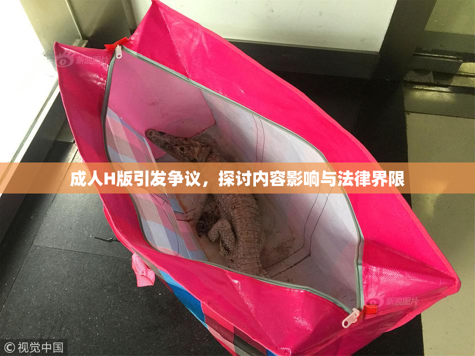 成人H版引发争议，探讨内容影响与法律界限