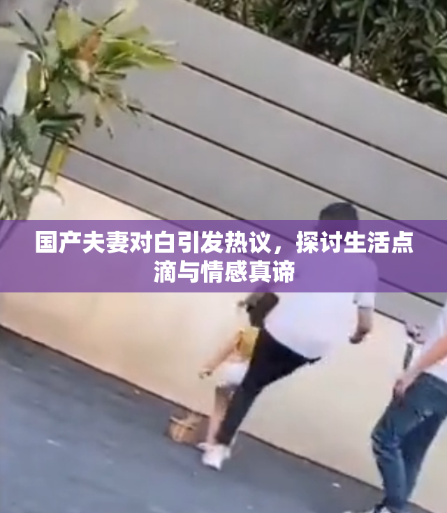 国产夫妻对白引发热议，探讨生活点滴与情感真谛