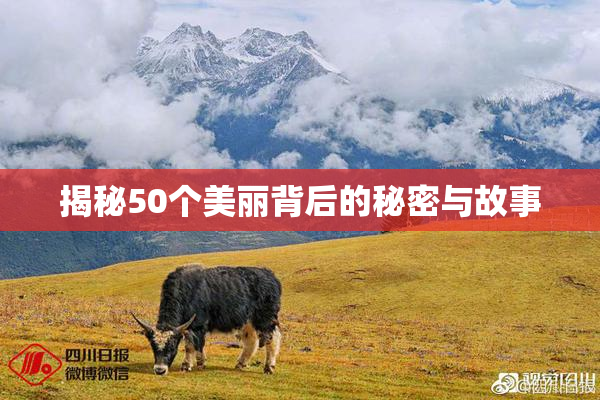 揭秘50个美丽背后的秘密与故事