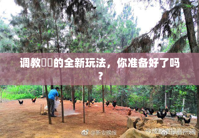 调教妺妺的全新玩法，你准备好了吗？