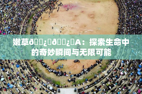 嫩草🌿‌🌿‌A：探索生命中的奇妙瞬间与无限可能