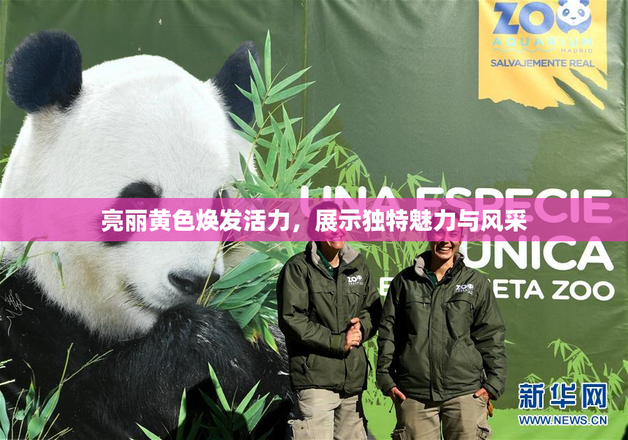 亮丽黄色焕发活力，展示独特魅力与风采