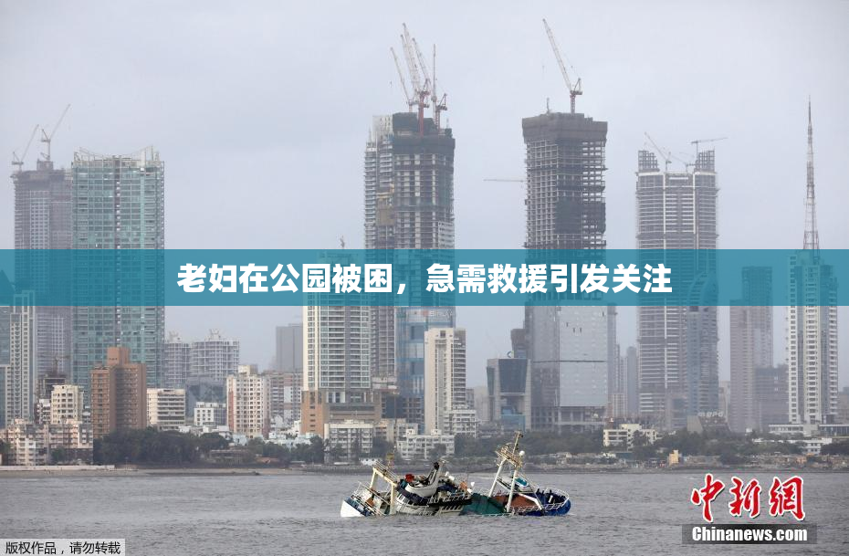 老妇在公园被困，急需救援引发关注