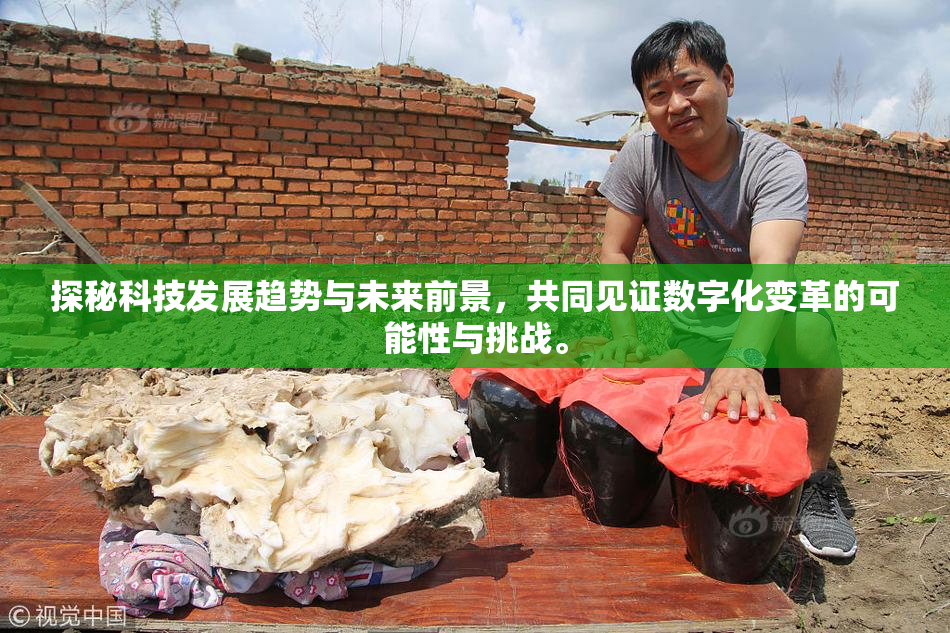 探秘科技发展趋势与未来前景，共同见证数字化变革的可能性与挑战。