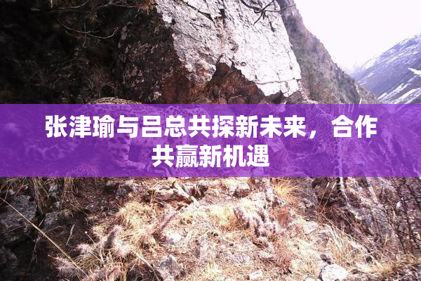张津瑜与吕总共探新未来，合作共赢新机遇