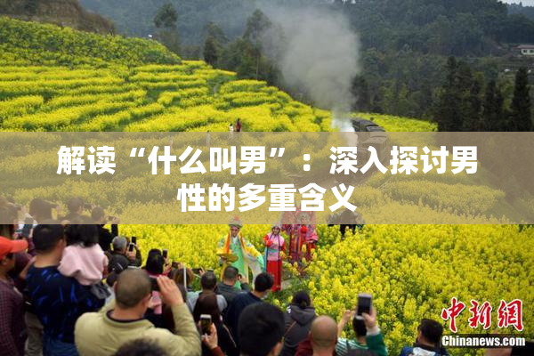 解读“什么叫男”：深入探讨男性的多重含义