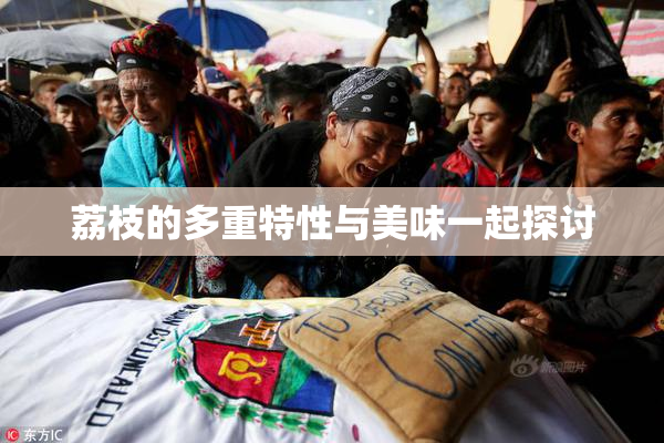 荔枝的多重特性与美味一起探讨