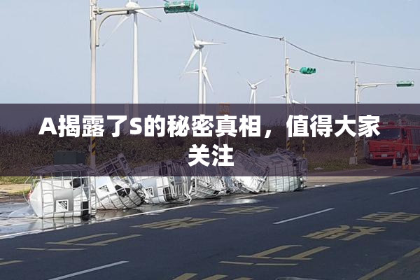 A揭露了S的秘密真相，值得大家关注