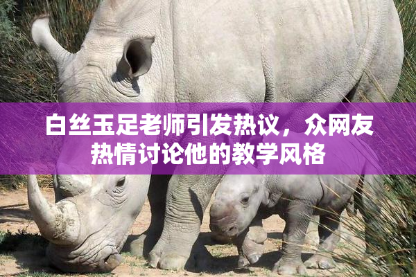 白丝玉足老师引发热议，众网友热情讨论他的教学风格