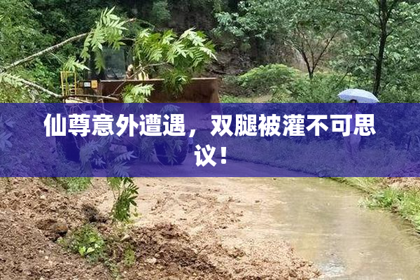 仙尊意外遭遇，双腿被灌不可思议！