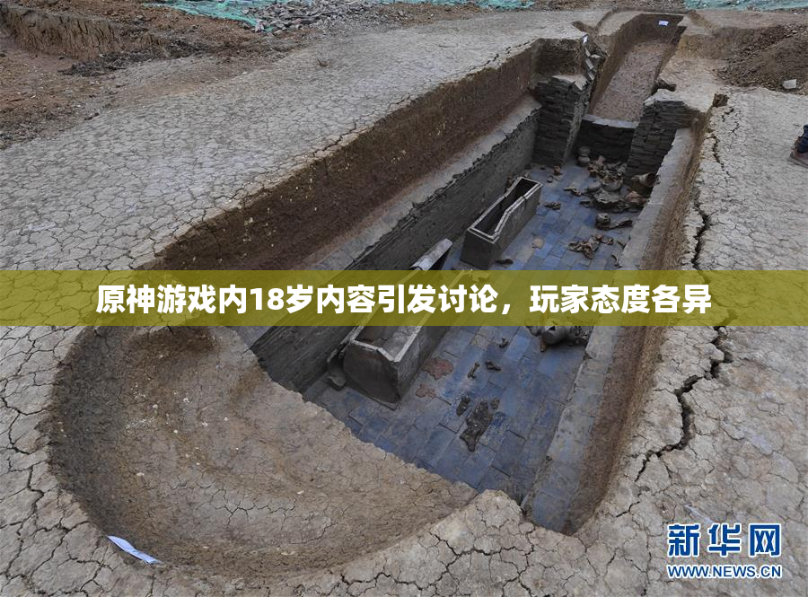 原神游戏内18岁内容引发讨论，玩家态度各异
