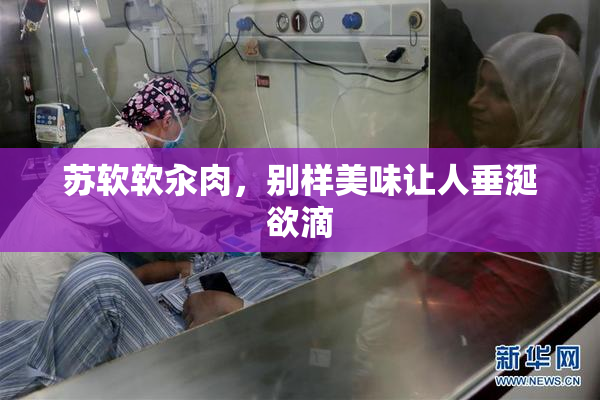 苏软软汆肉，别样美味让人垂涎欲滴