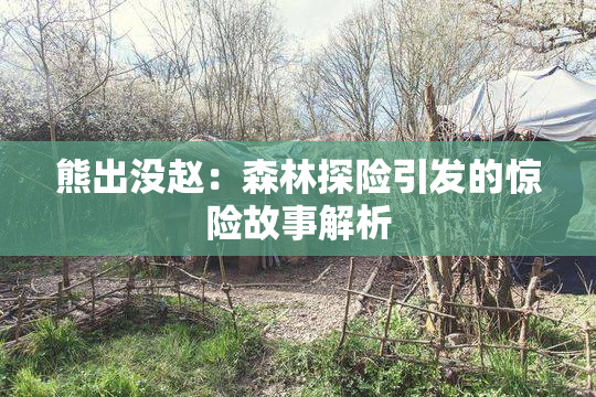 熊出没赵：森林探险引发的惊险故事解析