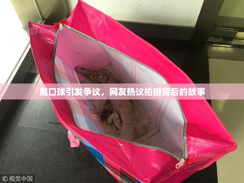 戴口球引发争议，网友热议拍摄背后的故事