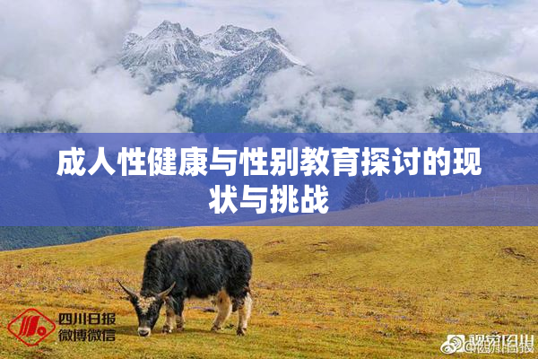 成人性健康与性别教育探讨的现状与挑战