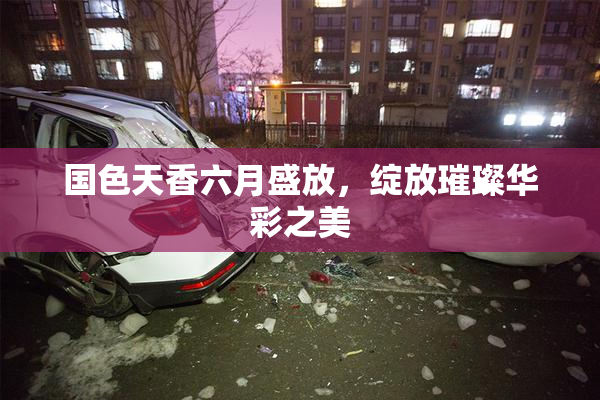 国色天香六月盛放，绽放璀璨华彩之美