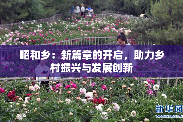 昭和乡：新篇章的开启，助力乡村振兴与发展创新