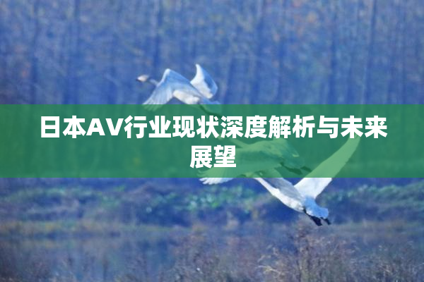 日本AV行业现状深度解析与未来展望