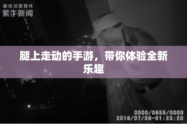 腿上走动的手游，带你体验全新乐趣