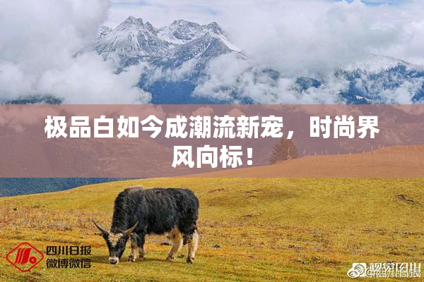 极品白如今成潮流新宠，时尚界风向标！